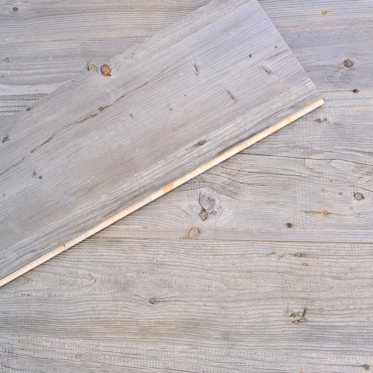 VECCHIO LEGNO vero! Stile capanna argento - rivestimento rustico del soffitto / parete del soggiorno