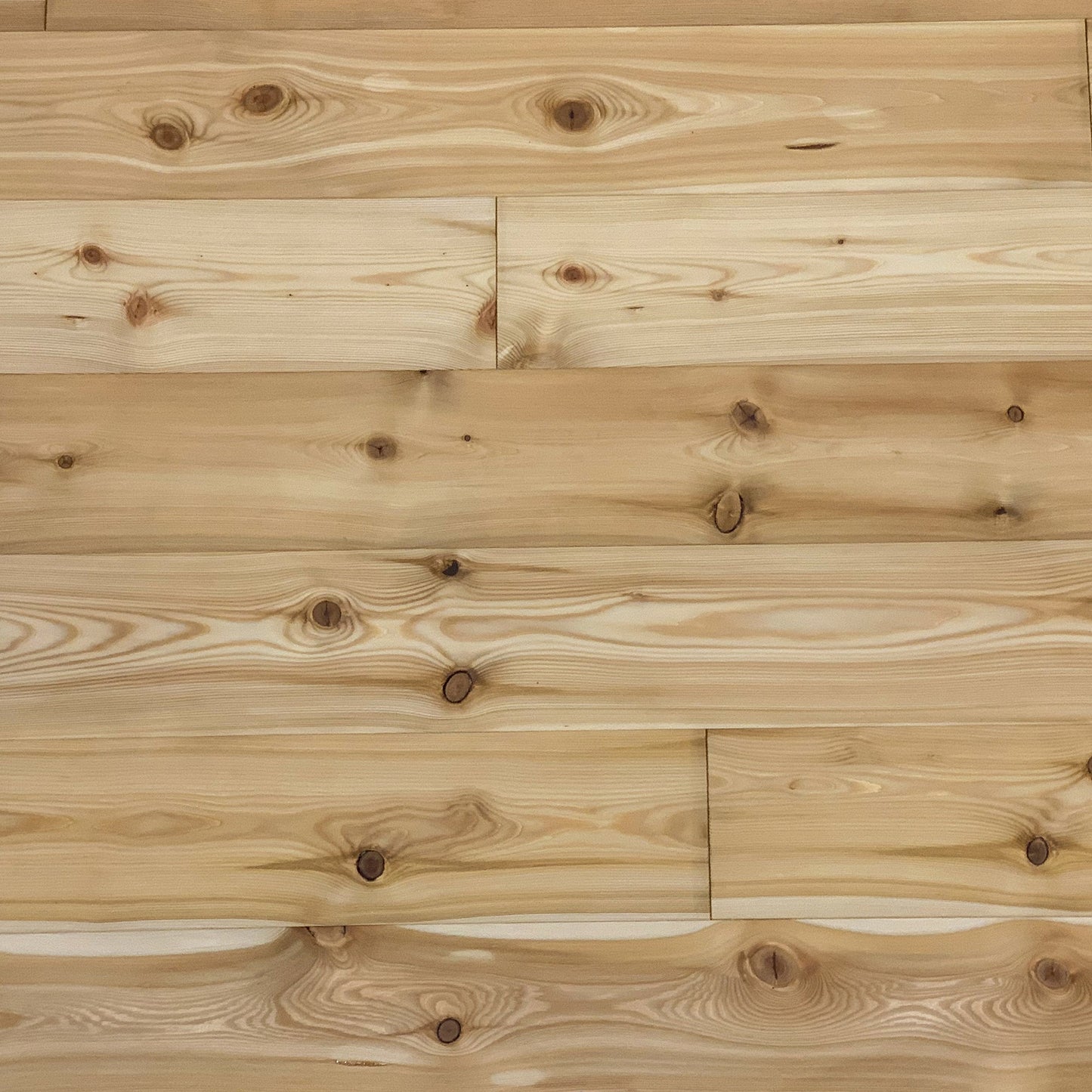 WOODY Larch, wooden flooring, oiled natural