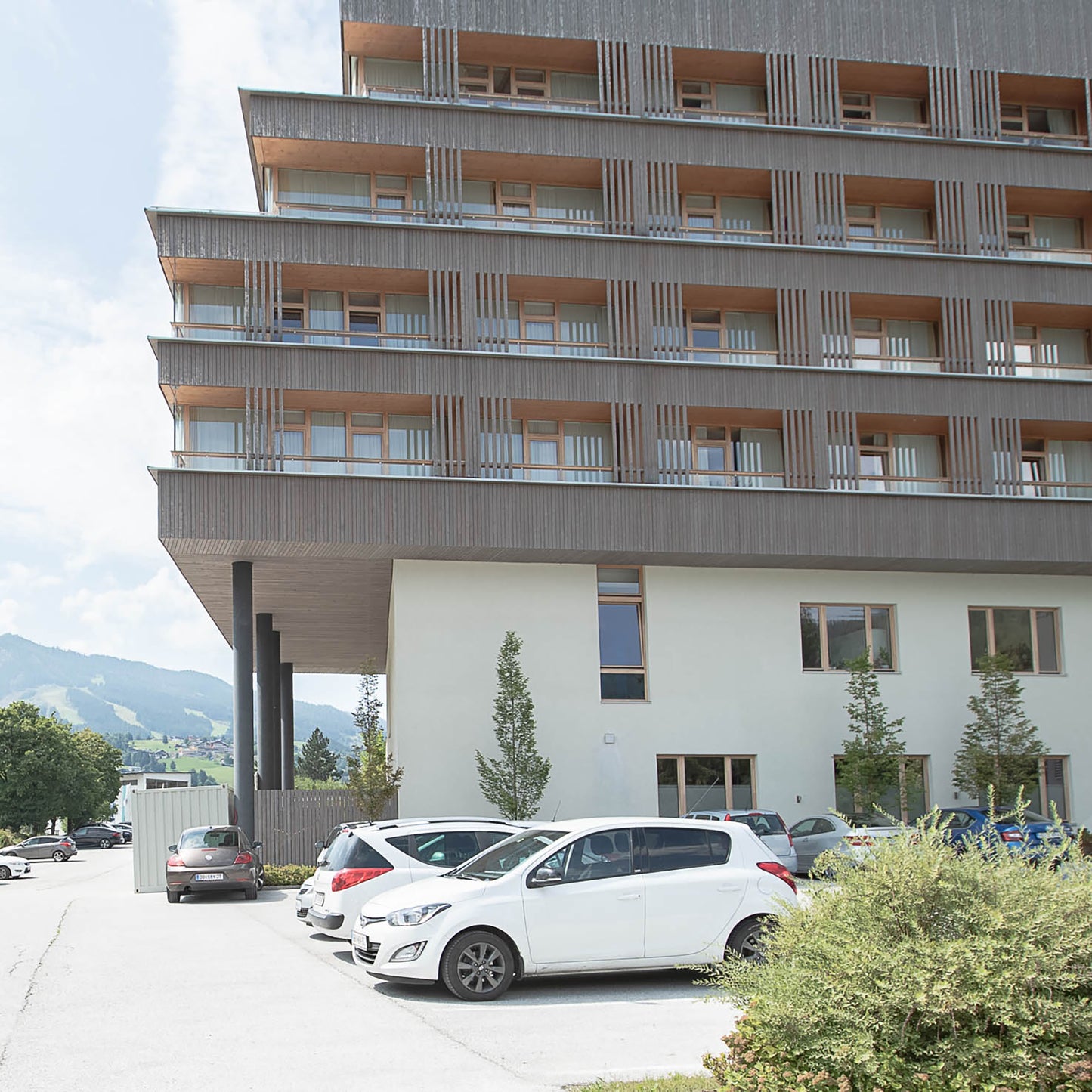 Fassade Lärche Rhombus