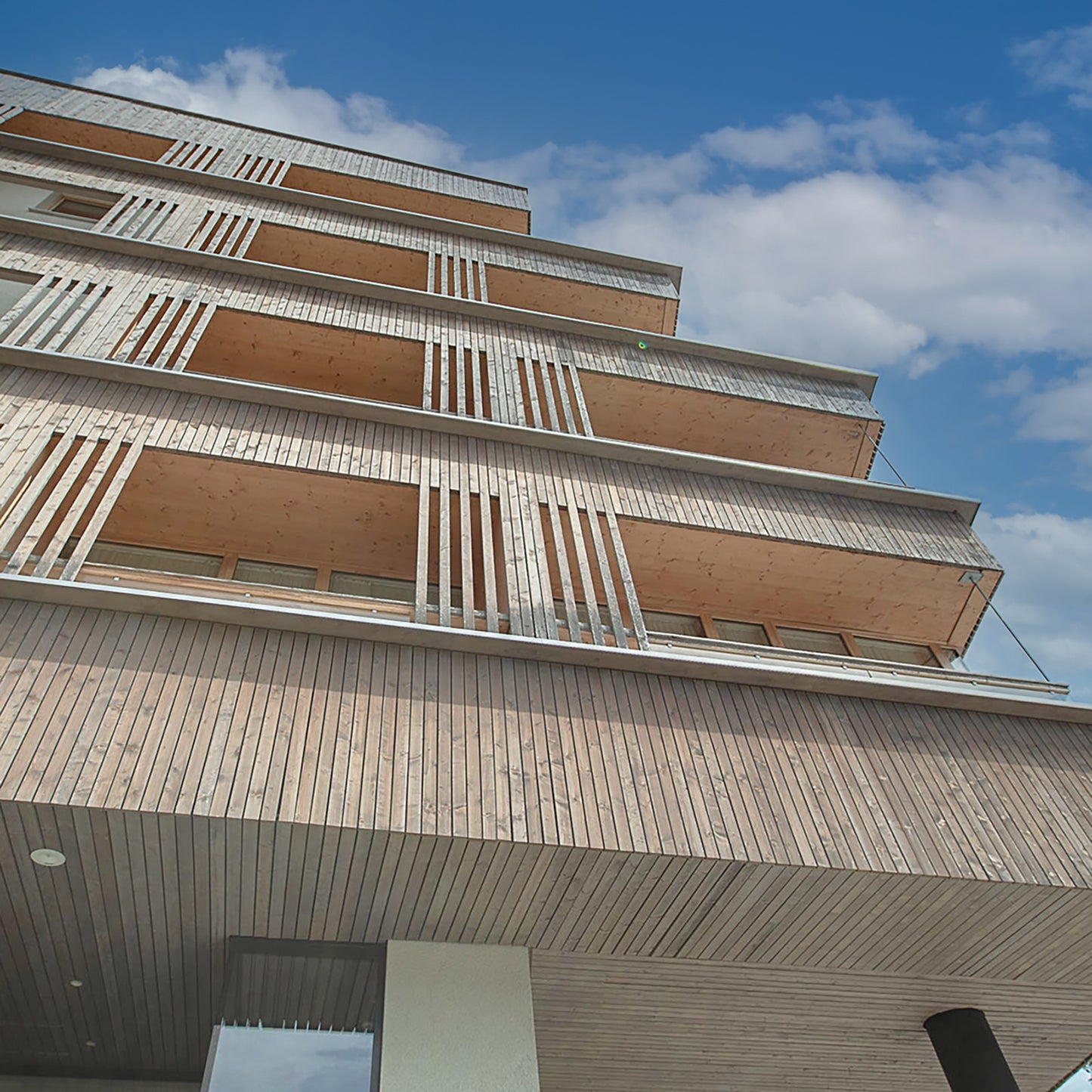 Wood facade rhombus Siberian larch 24 mm